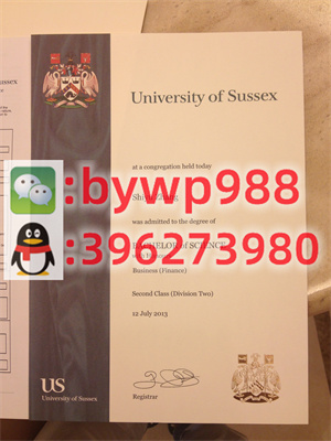 萨塞克斯大学 University of Sussex 毕业证模版 成绩单样本