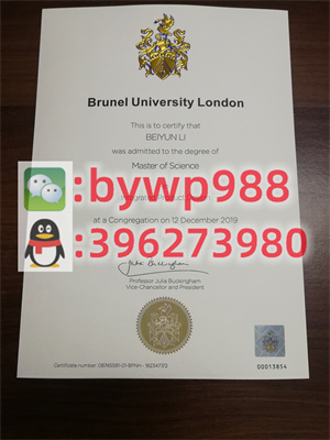 布鲁内尔大学 Brunel University London 毕业证模版 成绩单样本