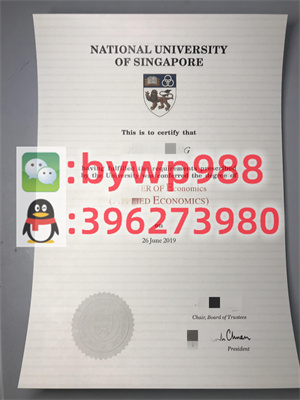 新加坡国立大学 National University Of Singapore 毕业证模版 成绩单样本